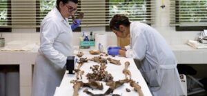 Ponferrada Avanza en la Identificación de Víctimas de la Guerra Civil con un Pionero Proyecto de ADN