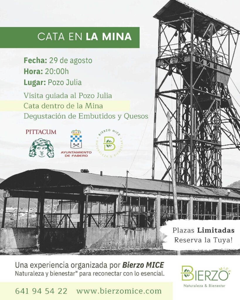 cata en la mina 4