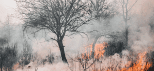 incendios