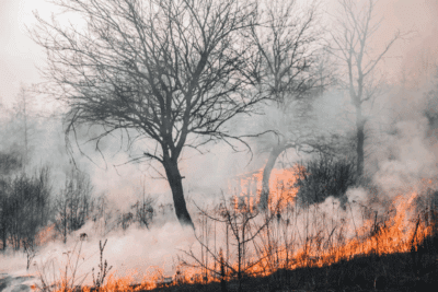 incendios