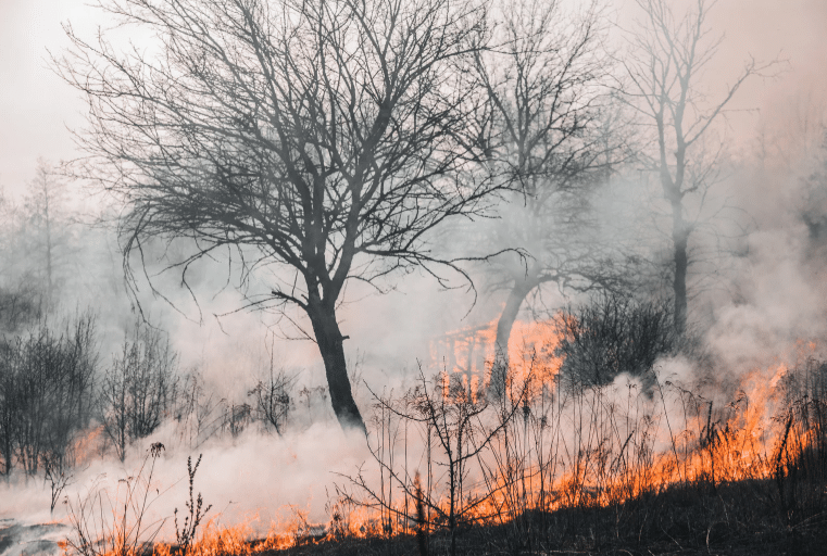 incendios
