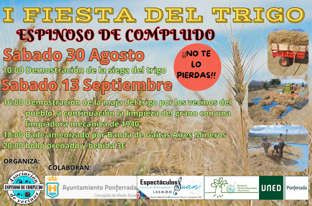 Fiesta del Trigo