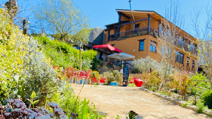 el sitio de mi recreo