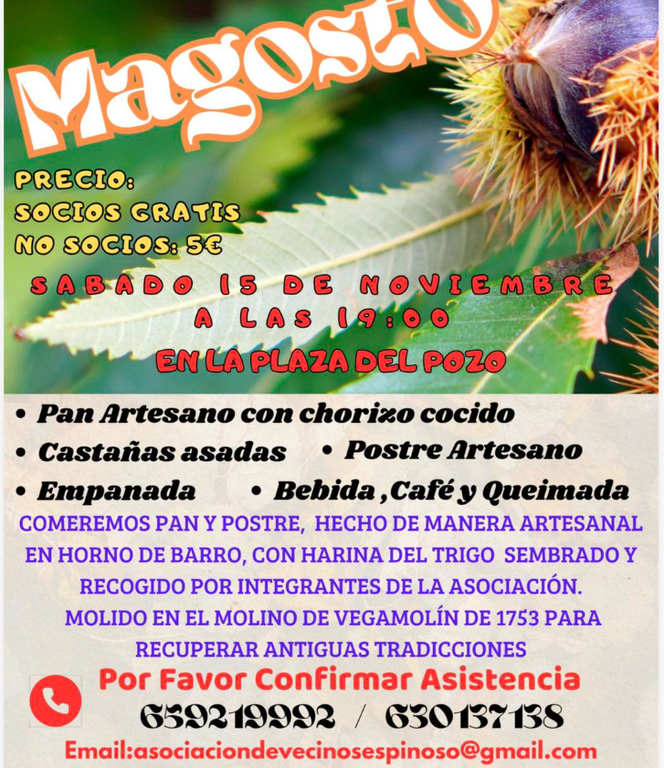 magosto espinoso de compludo