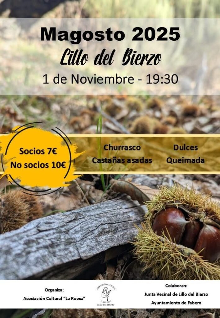 magosto lillo del bierzo 2025
