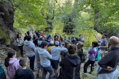 actividades anillo verde