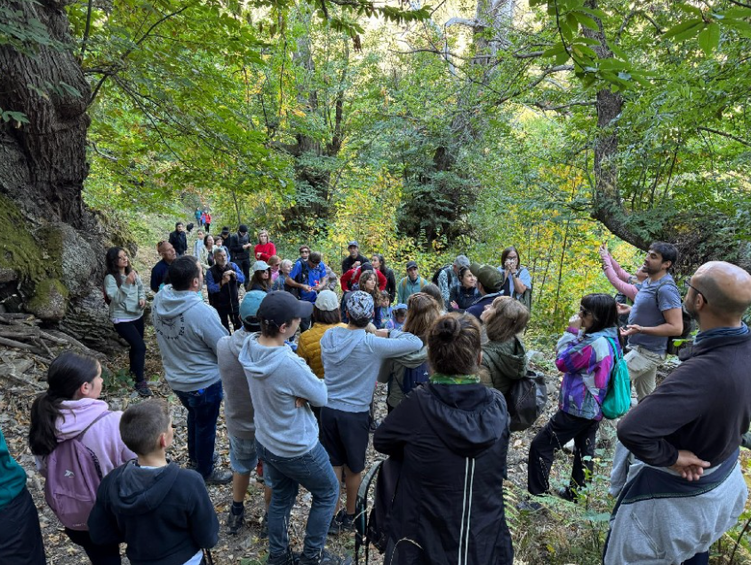 actividades anillo verde