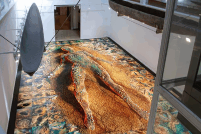 exposición ‘Tantos mundos en este’