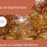 PORTADA RUTA CALIDAD DEL BIERZO