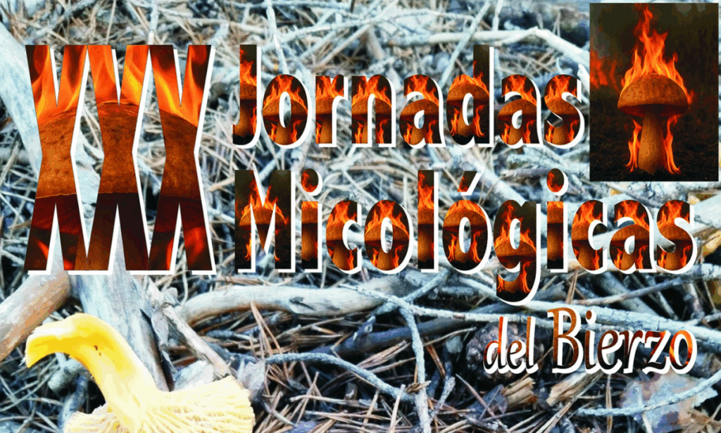 xxx jornadas micologicas del bierzo portada