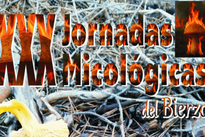 xxx jornadas micologicas del bierzo portada