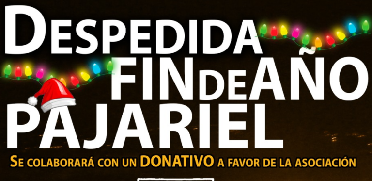 portada despedida fin de año pajariel 2025