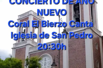 Concierto año nuevo