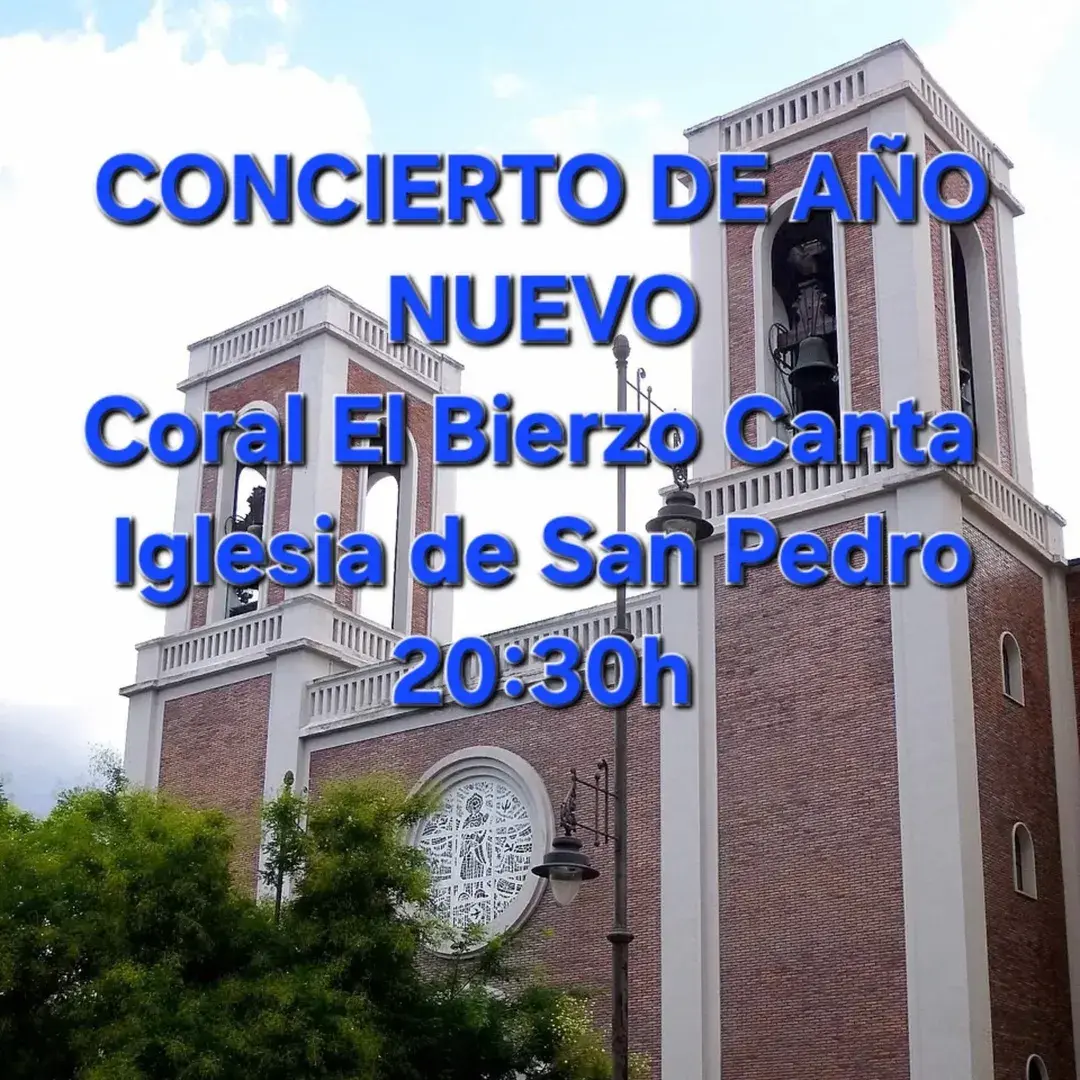 Concierto año nuevo