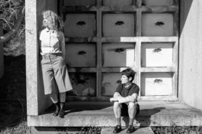 Mientras el meteorito llega