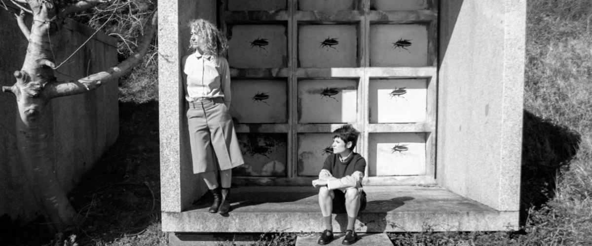 Mientras el meteorito llega