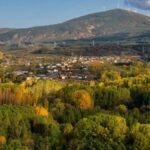 Fiestas de San Antonio en Calamocos 2026