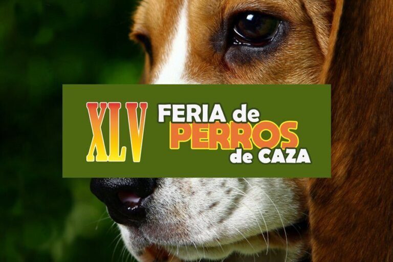 portada feria de perros de caza