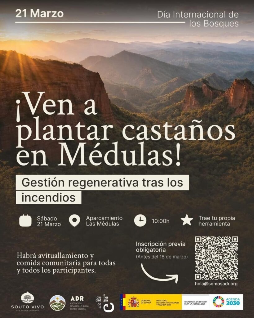 Jornada de Plantación de Castaños en Las Médulas 2026