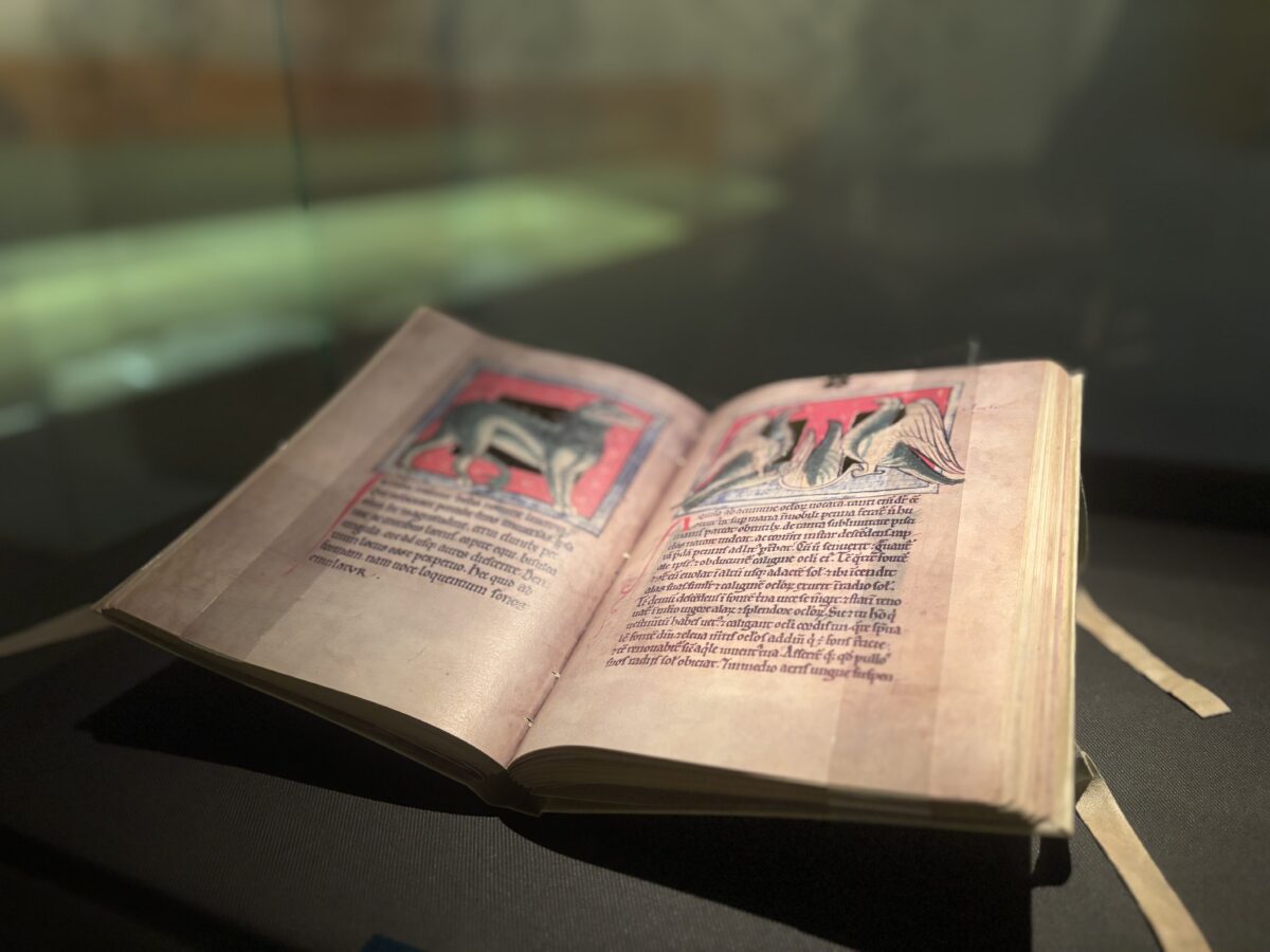 Exposicion Templum Libri