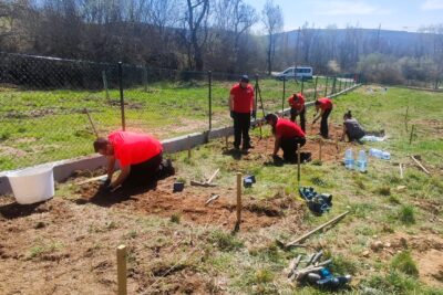 Parcela experimental en Quintana