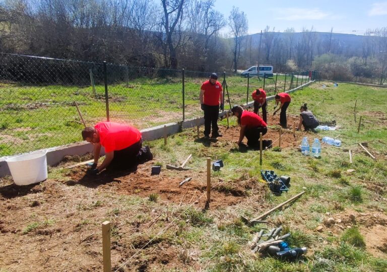 Parcela experimental en Quintana