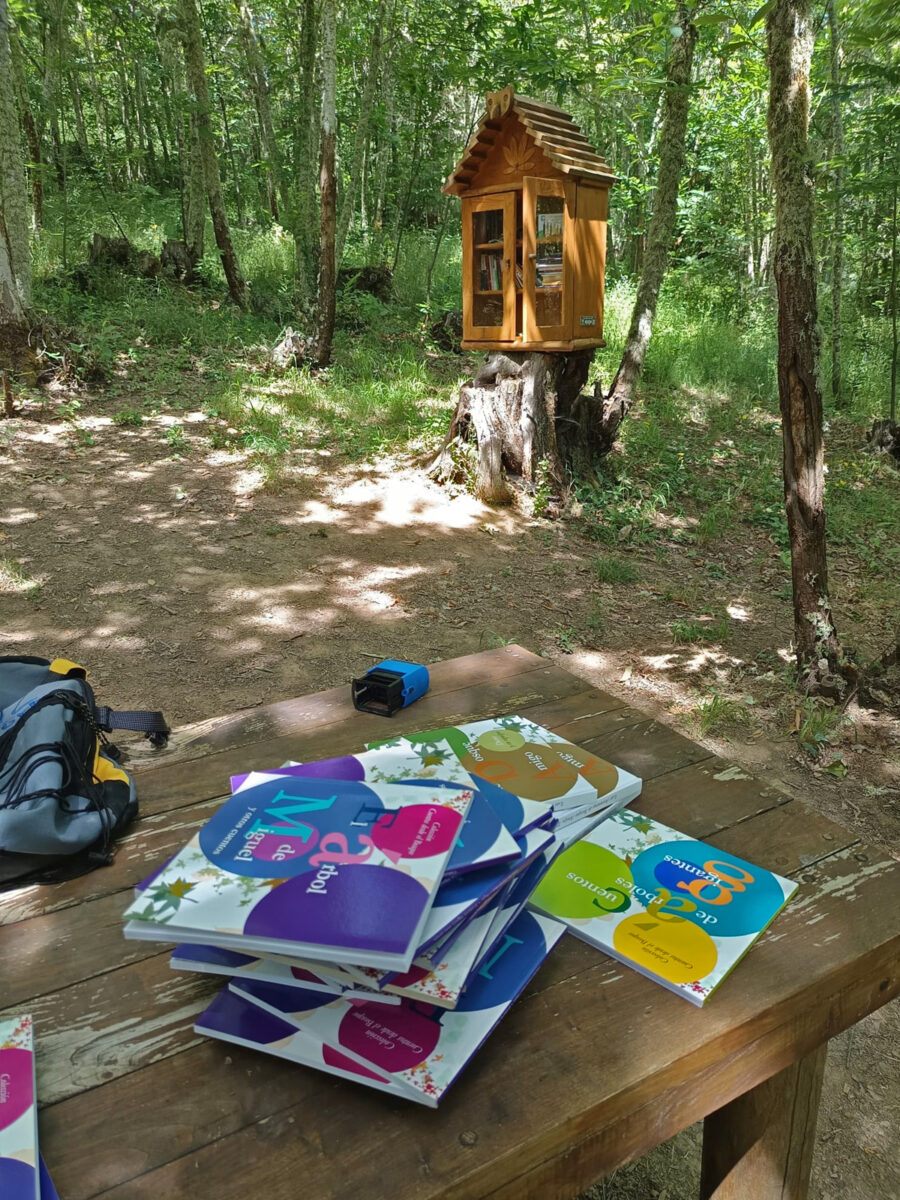 Minibiblioteca del Soto de Villar (2)
