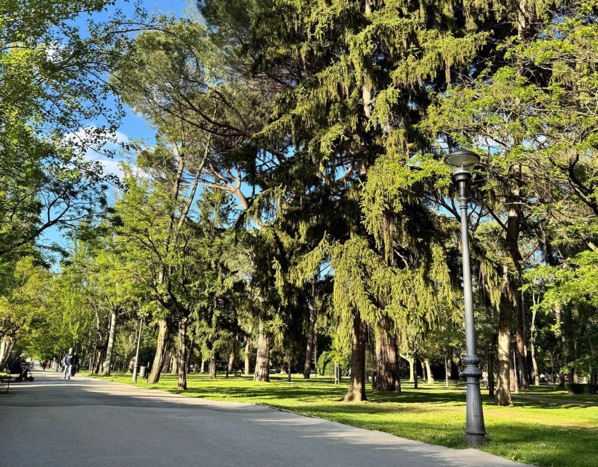 parque del plantio