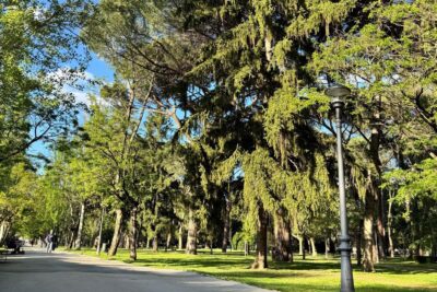 parque del plantio