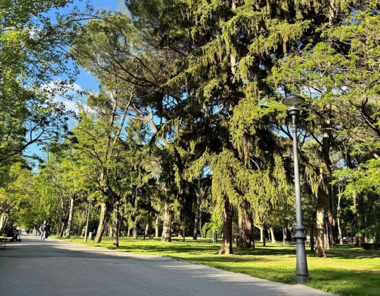 parque del plantio