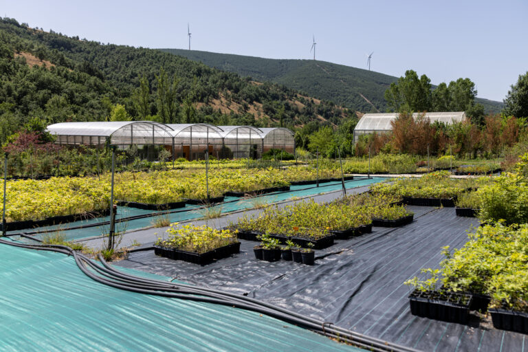 Vivero Pobladura CIUDEN