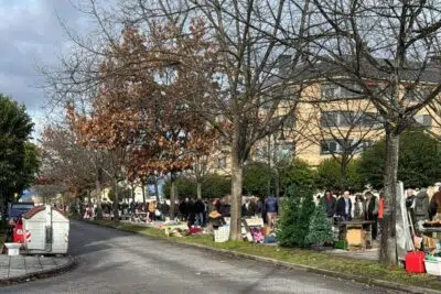 mercadillo de antiguedades