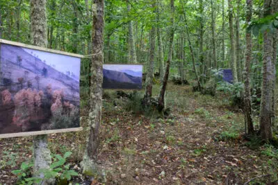 exposicion palpito